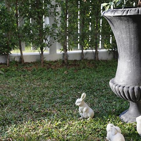 Mona Chiangmai Boutique Hotell Chiang Mai Exteriör bild
